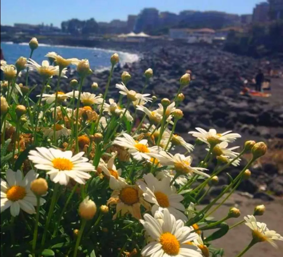 Venere B&B Catania Bed & Breakfast